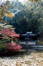Changdeokgung Palace